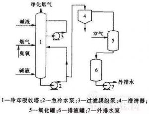 timg (5)