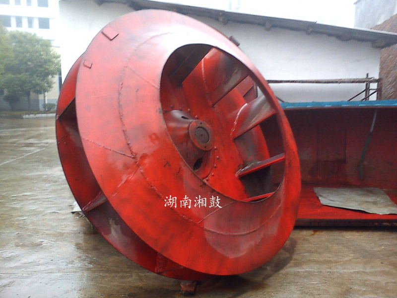 24D~݆.jpg